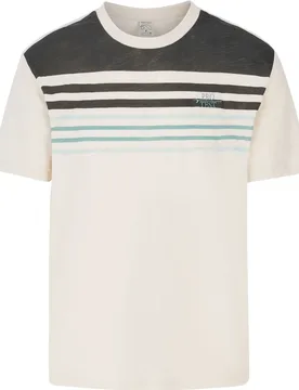 PRTHowlen Herren T-Shirt, grau XL - Protest - FashionsVida
