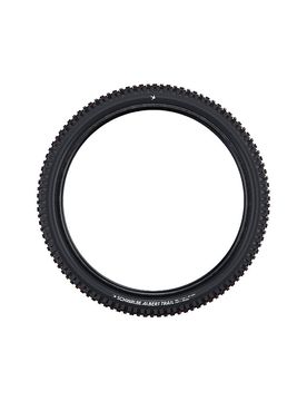 Neumático de bicicleta Albert Pro Radial 63-622 Trail Soft negro
