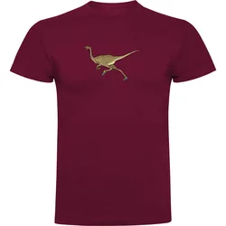 Maglietta A Maniche Corte Dino Run Dark Red L
