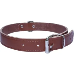 Collar para perros pequeños cuero liso