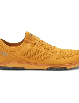 Sneaker Nexus Knit Gold EU 39 1/2