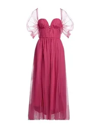 Midi-Kleid Damen Fuchsia 34,36 Damen