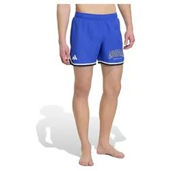 Logo 5´´ Swimming Shorts Lucid Blue / White XL Men