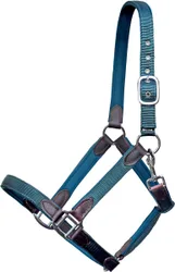 Halfter CHOLET, Nylon-Neopren-Leder, schwarz PONY