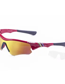 Occhiali Da Sole Iron Shiny Red