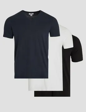 Men's Mixed 3 Pack Plain V Neck T-Shirts Size: Large - Multicolor - Size: L - Burton - FashionsVida