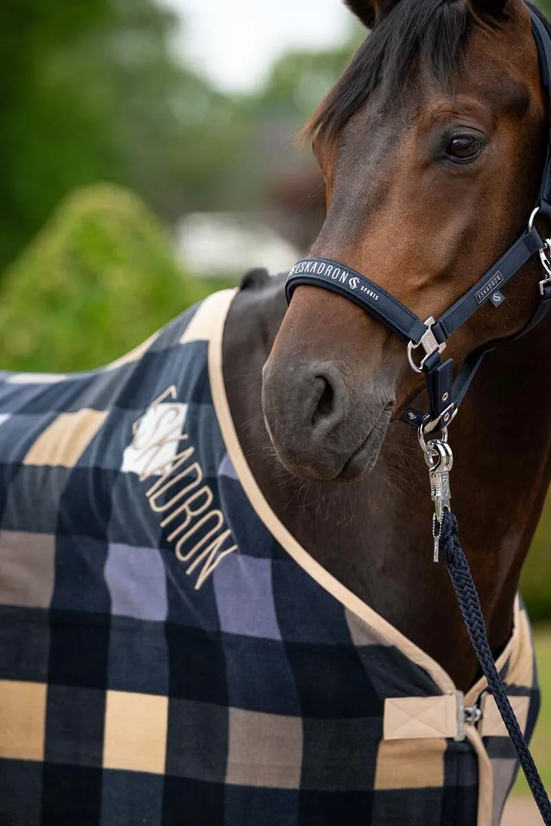 Halfter SPARKLE DOUBLE PIN Classic Sports FS26 navy P2 - Eskadron - FashionsVida
