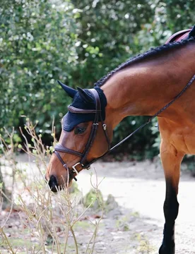 Fliegenhaube WELLINGTON Cob dunkelblau - Kentucky Horsewear - FashionsVida