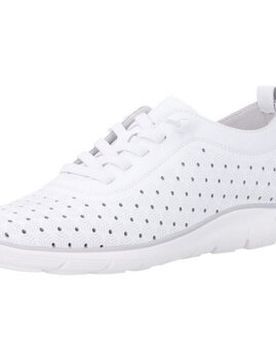 Sneaker Schnuerschuhe Fs Halbschuh D3g03-80 37;38;39;40;42;43;44;45 Female