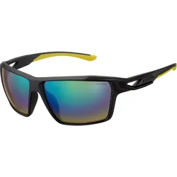 Eyewear Occhiali Da Sole Polarizzati Hd2506p Black