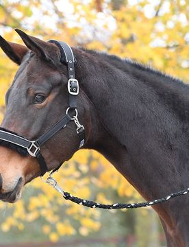 Halfter IDEAL, schwarz-silber SH