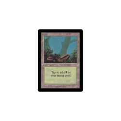 Forest (#2) Beta