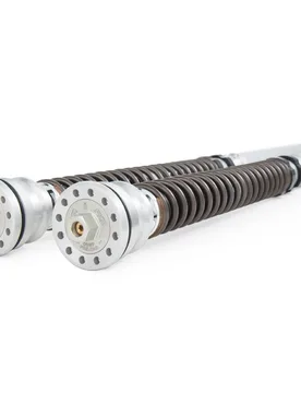 Kit Cartuccia Forcella Ohlins Ttx 25mm Bmw S 1000 Rr Hp4 2013-2014 - Öhlins - FashionsVida