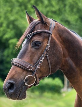 Lederkappzaum ANATOMIC, braun Pony