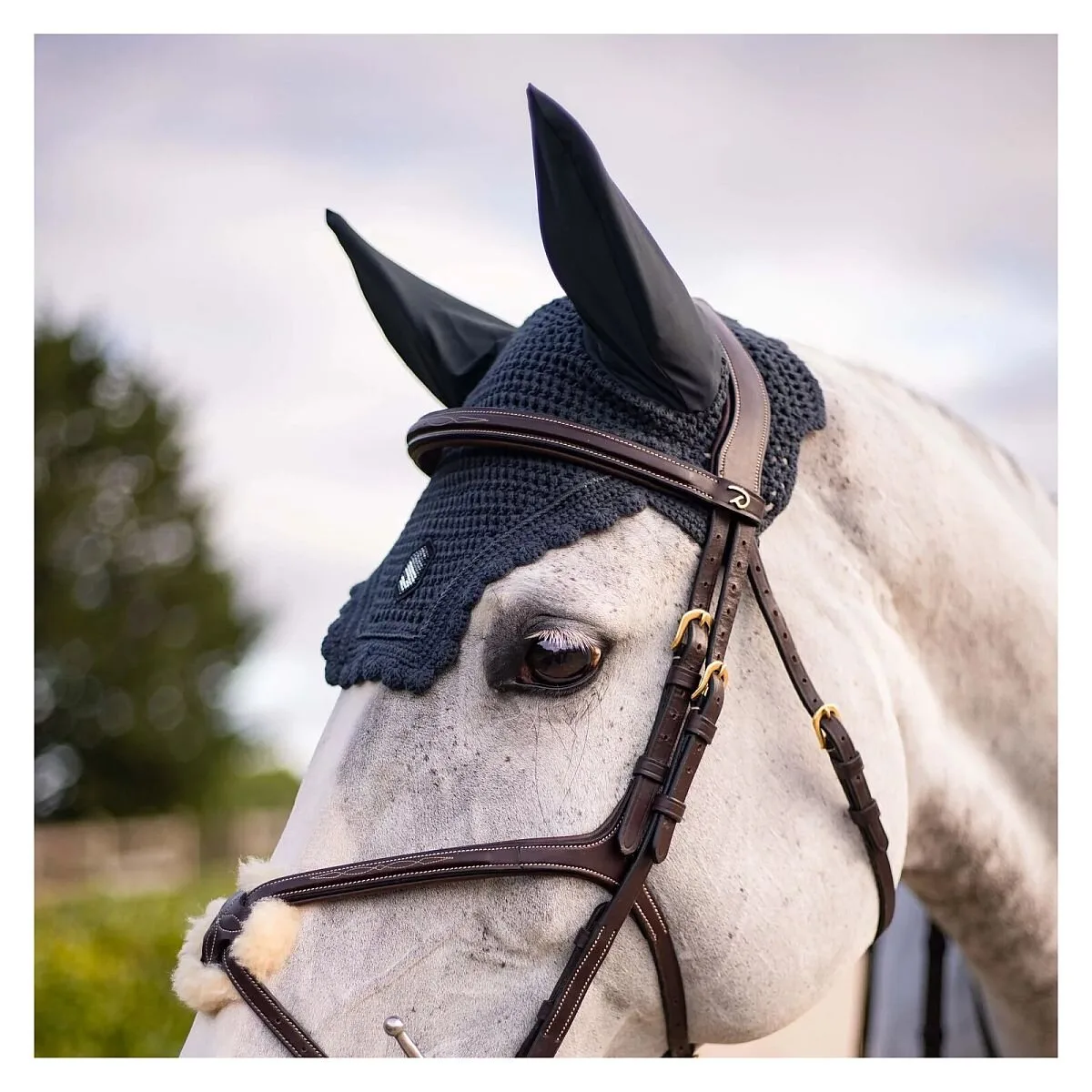 Fliegenmütze FLYSHIELD Swarovski anthracite Full - Samshield - FashionsVida