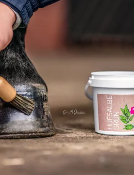 Bense & Eicke Hufsalbe grün 1Liter - Bense & Eicke - FashionsVida