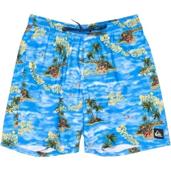 Bañador de hombre Everyday Straight 17"