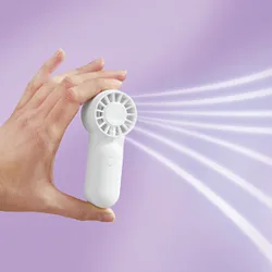 Pagen Mini-Ventilator mit Akku