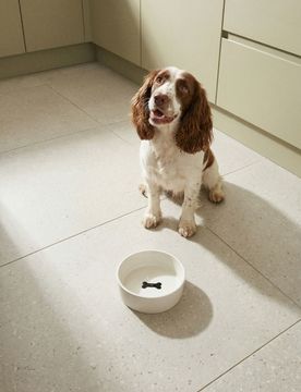 Ciotola in ceramica per animali con design in rilievo di osso - panna