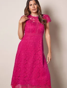 Women's Lace Fit & Flare Midi Dress in Pink Size: 18 - Pink - Size: 18 - Wallis - FashionsVida