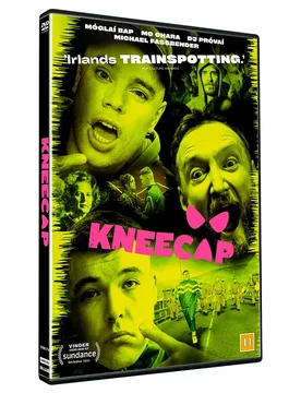 Kneecap Multicolor One Size unisex - Dvd - FashionsVida