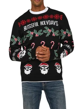 Herren Pullover Schwarz 495630