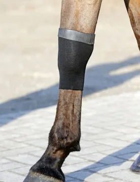 Sehnenstrümpfe mit Gel schwarz - Kentucky Horsewear - FashionsVida