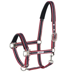 Halfter Pin Buckle, chili-white-nightblue P2