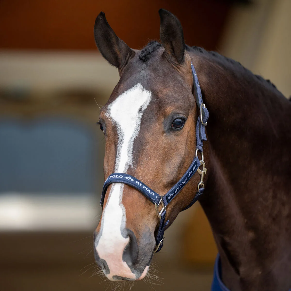 HV Polo Halfter HVP NENA navy Pony - HV POLO - FashionsVida