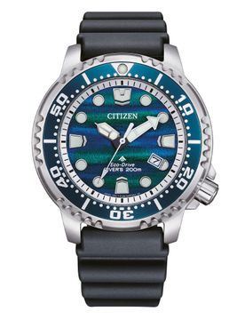 Orologio Uomo Promaster Limited Edition BN0167-09W