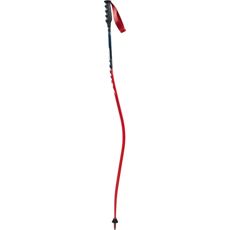 Bâtons World Cup Pro Dh Carbon Red / Blue 125 cm Homme