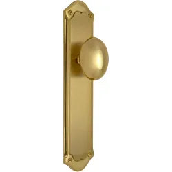 Pomo con Placa para Puertas de Paso Interior 273 x 53 x 48 mm