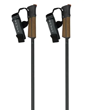 Bâtons Gt 13 Comp Mag Blackberry 115 cm Homme