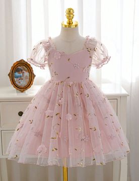 Vestido elegante y encantador de niña con mangas abullonadas, cintura ceñida, doble capa de malla bordada y lujoso diseño en color rosa