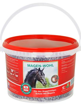 Salvana Magen-Wohl 3kg