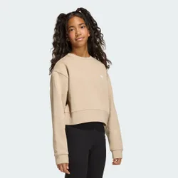 FELPA BOXY CREW 9-10A Stone Khaki