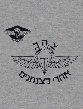 IDF Airborne Commandos Israel Defense Forces Men T-Shirt Short Sleeve Casual Cotton O-Neck Summer T-shirts - Aliexpress - FashionsVida