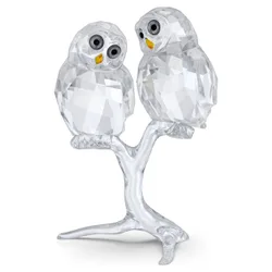 Feathered Beauties Coppia di Gufi OS