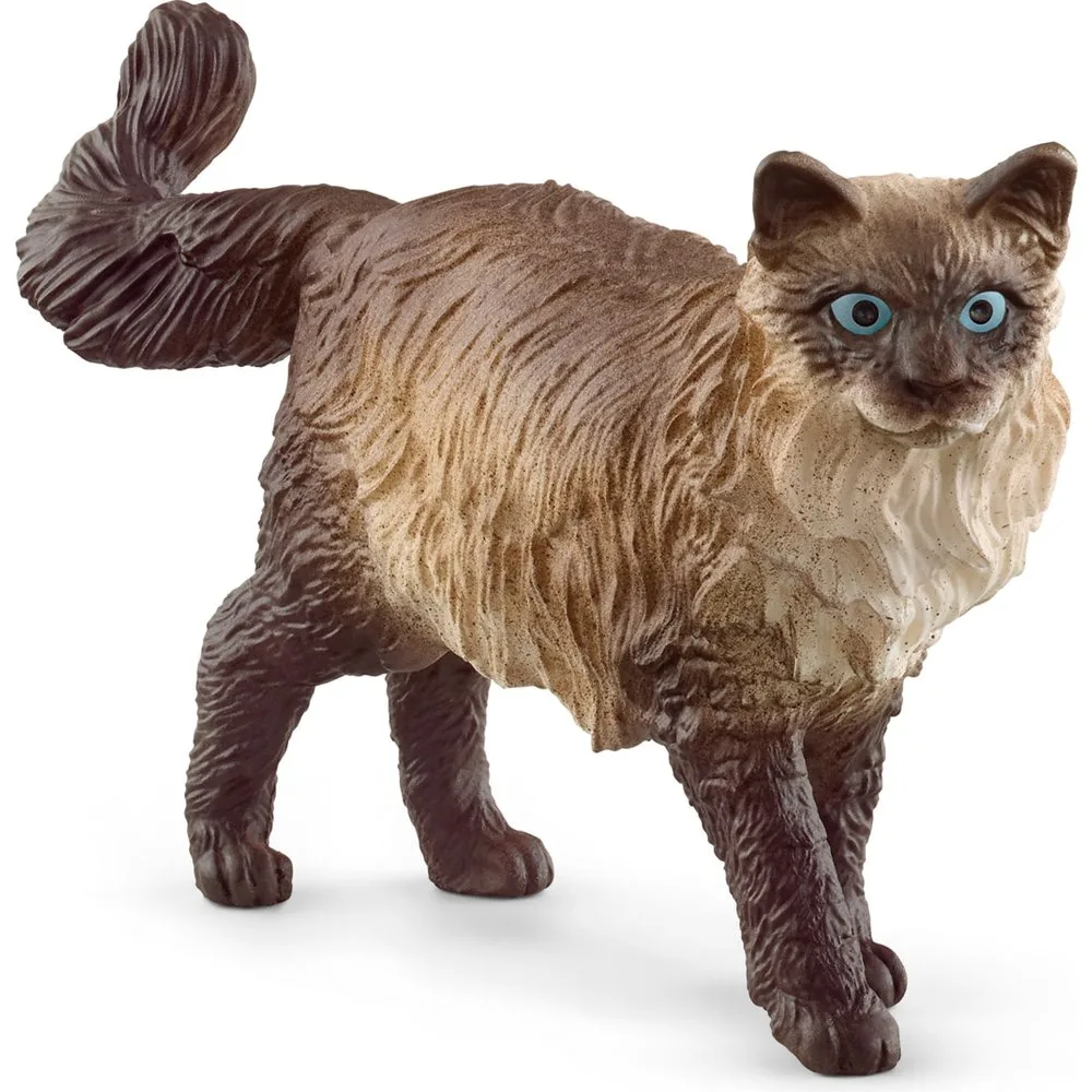 Figura Gato Ragdoll - Schleich - FashionsVida