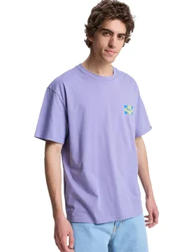 Camiseta de hombre EV Starfish Stamp - Quiksilver - FashionsVida