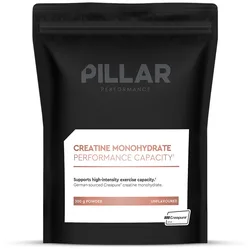 Creatina In Polvere Monohydrate 300g