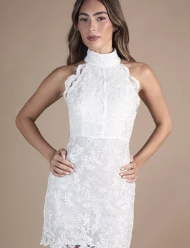 Women's High Neck Embroidered Mesh Mini Wedding Dress in Ivory Size: 18 - Ivory - Size: 18 - Coast - FashionsVida