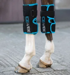 Karpalgelenksgamaschen ICE-VIBE, black/aqua Full