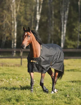 Weidedecke IRISH TURNOUT 0g, black-gold 130 - Bucas - FashionsVida