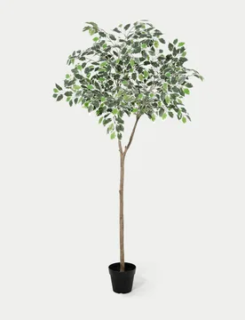 Artificial 5ft Ficus Topping Tree Green - Blooming Artificial - FashionsVida