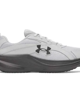 Scarpe Da Running Assert 11 Gray / Black EU 46