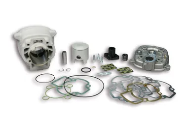 Gruppo Termico 47,6 In Alluminio Con Spinotto 12 Piaggio Ntt 50 2t Lc