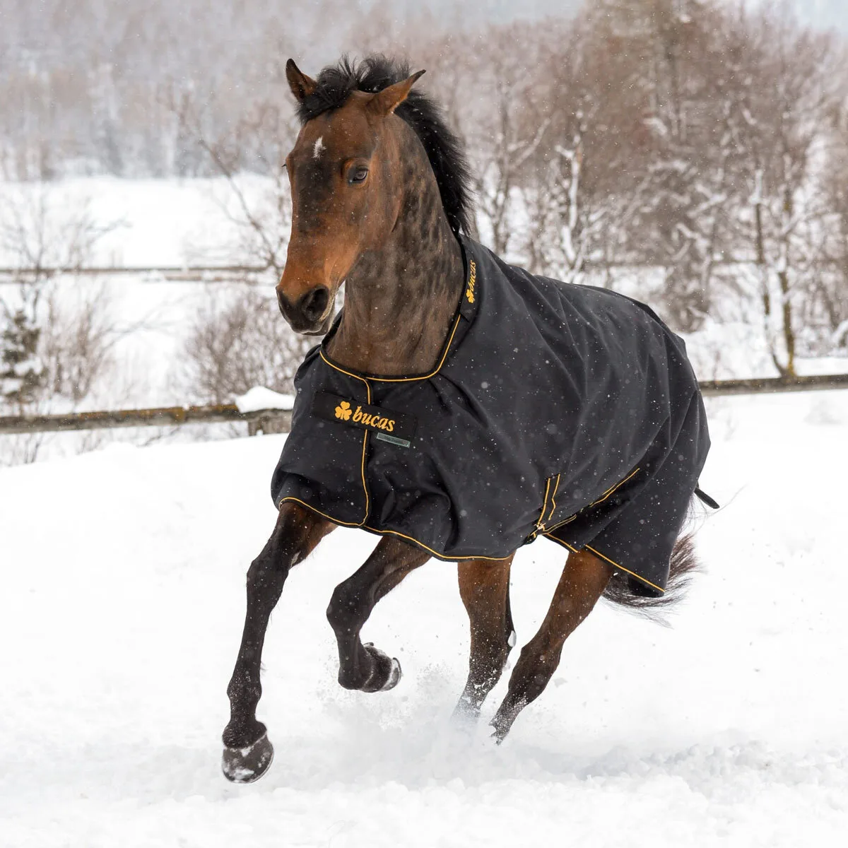 Weidedecke IRISH TURNOUT Light 50g, black-gold 140 - Bucas - FashionsVida
