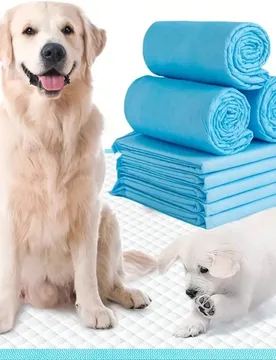 Piezas de almohadillas súper absorbentes para cachorros, a prueba de fugas y de secado rápido, adecuadas para el entrenamiento de perros, la orina d - Shein - FashionsVida