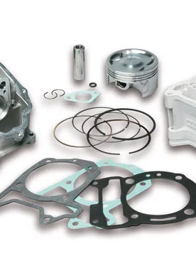 Gruppo Termico 75,5 In Alluminio Con Spinotto 16 H2o 4-Stroke Piaggio X7 Evo 300 Ie 4t Lc Euro 3 (Quasar) - Malossi - FashionsVida